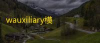 wauxiliary模块
